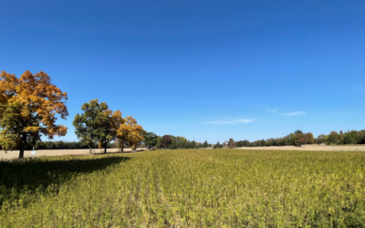 Heartland Completes First Industrial Hemp Fiber LCA For Carbon Negative Plastic Additives